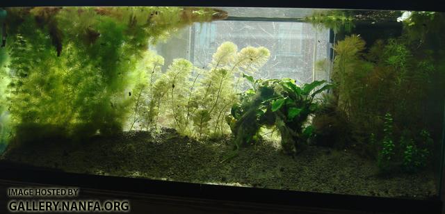 tank as of March 20th 2011