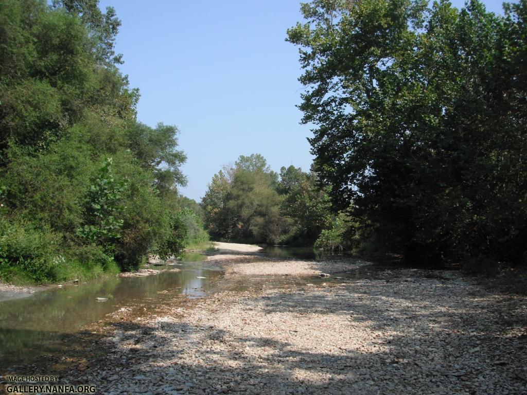 Fishing Creek 3.JPG