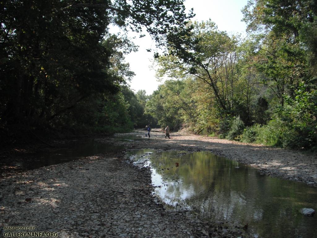 Fishing Creek 4.JPG