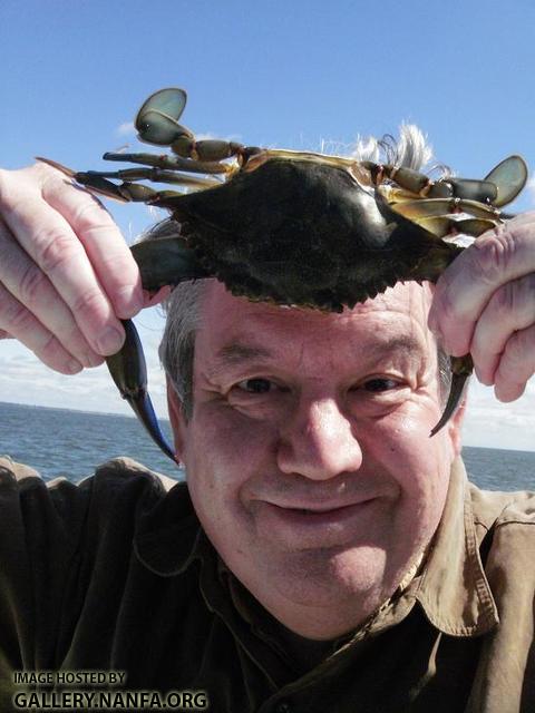Phil's Head Crab