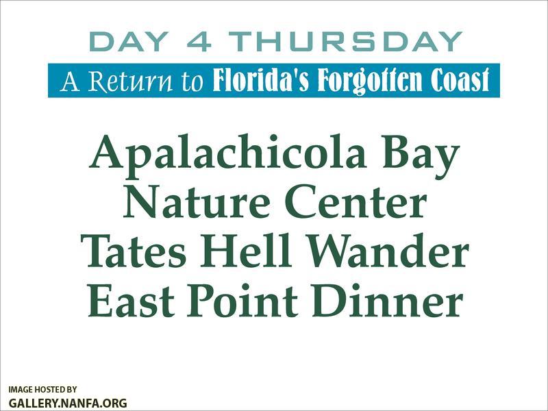 Florida's Forgotten Coast   Day 4
