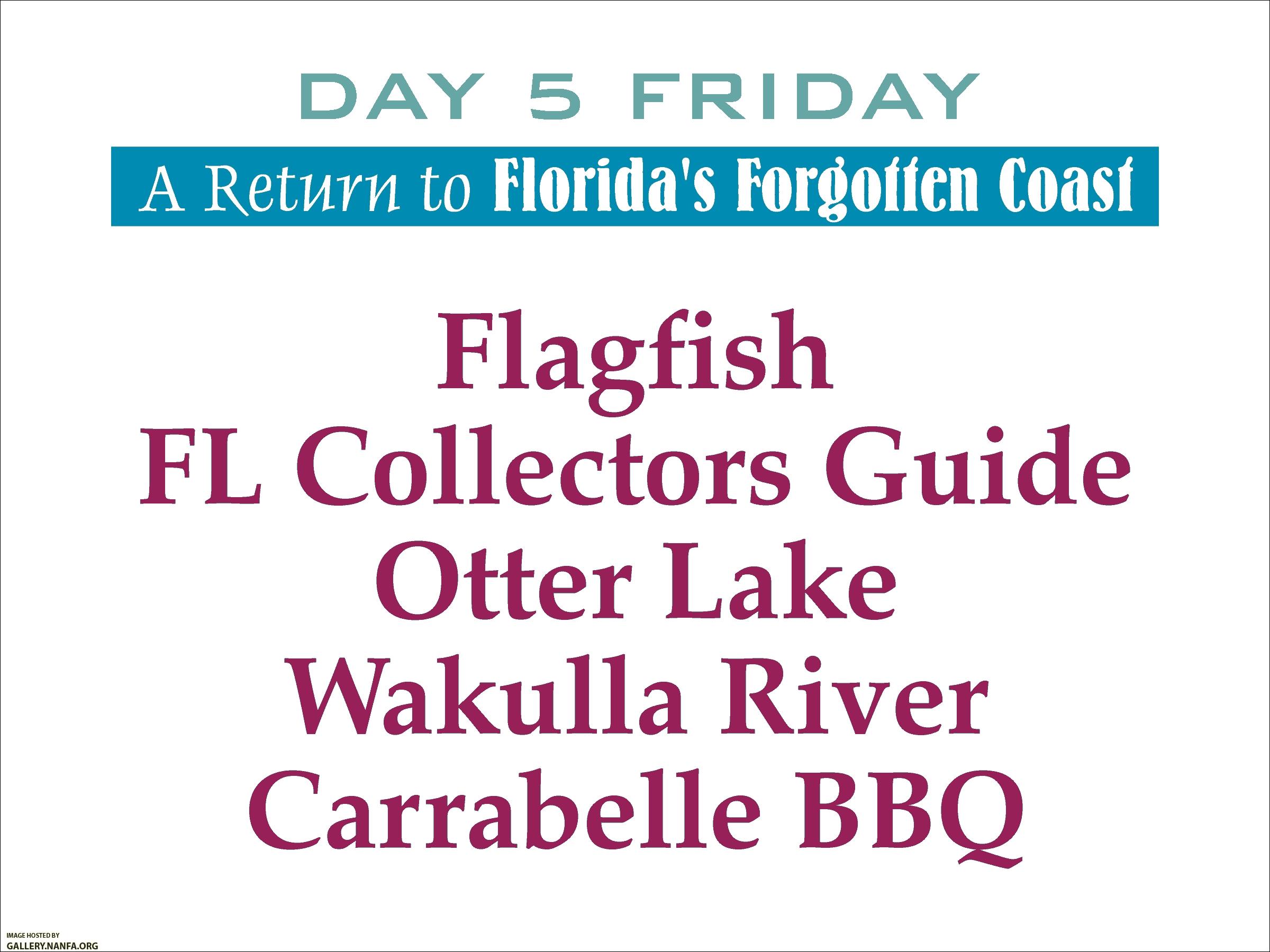 Florida's Forgotten Coast   Day 5