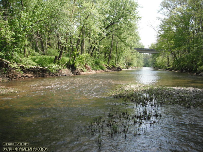 Buck Creek 2.JPG