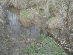 CR 1 puddle 2
