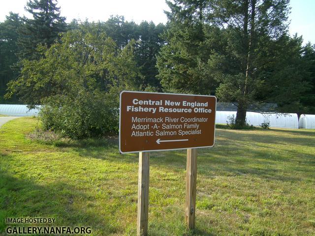 Hatchery Salmon Sign