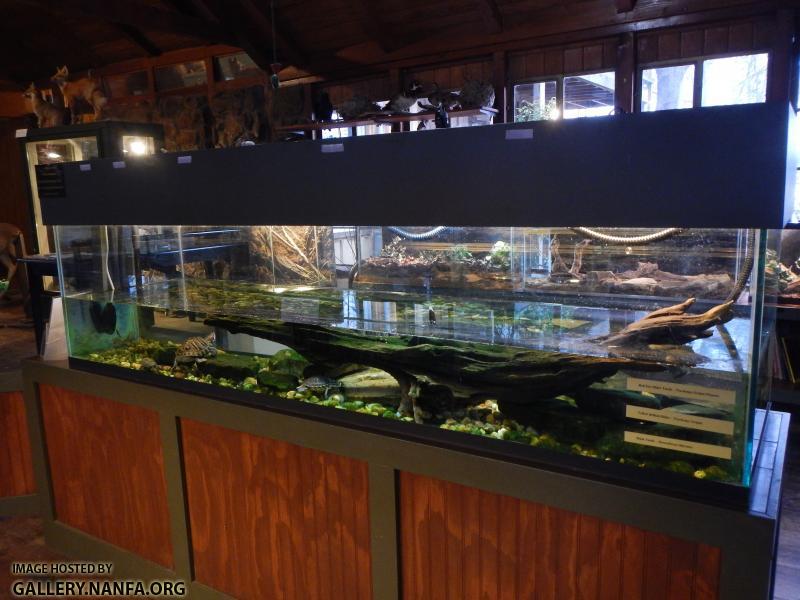 Autrey Mills Aquarium