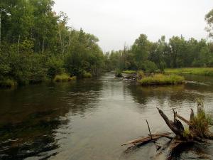North Branch Au Sable River