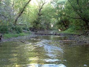 Blanchard River