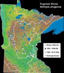Pugnose Shiner - Notropis anogenus distribution in Minnesota